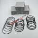 NISSAN PISTON RING 12033-06J10